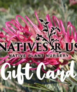 Natives R Us Traveston Native Plant Nursery giftcard