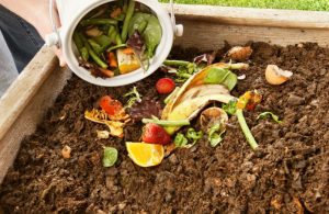 5 Simple Steps to Composting at Home - Natives R Us Traveston Native Plant Nursery