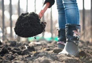 How To Determine Your Soil Type – And What To Do With It - Natives R Us Traveston Native Plant Nursery