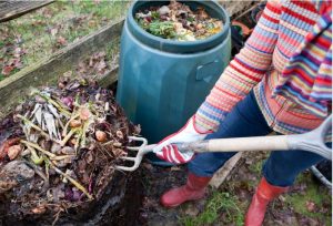 Native Garden Home Composting 101 - Natives R Us Traveston Native Plant Nursery