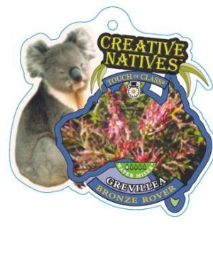 Grevillea 'Bronze Rover' is a tough, beautiful, low-growing groundcover with style!! 😍😎 With its bronze-tinged new growth, lush dark green foliage, and clusters of deep red-burgundy flowers, this spreading groundcover ticks all the boxes for beauty and performance. It’s fast to establish, brilliant at suppressing weeds, and handles heat, frost and drought like a pro. Add it to embankments, rockeries, verge gardens or anywhere you want low-growing drama that doesn’t need mollycoddling. And the birds? They’ll be dropping by daily for that sweet nectar fix! 🐦❤️ 🌟 Why You’ll Love Grevillea ‘Bronze Rover’ • Striking red-burgundy flowers loved by nectar-feeding birds 💫 • Dense, weed-smothering foliage with bronze new growth 🛡️ • Gorgeous colour contrast through all seasons 🍂🌿 • Fabulous for slopes, rockeries and retaining walls 🧱 • Extremely tough, hardy and low-maintenance 💪 • Grows wide and fast — great bang for your buck! 💥 H:40cm W:2m