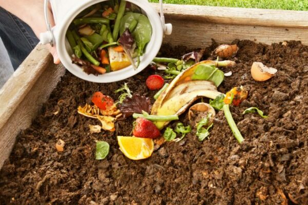 5 Simple Steps to Composting at Home - Natives R Us Traveston Native Plant Nursery